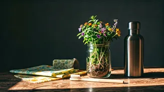 The Eco Trend Everyone Can Try