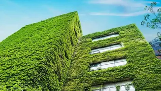 The New Small-Space Gardening Trend Brings New Attention To Using Vertical Space For Plants