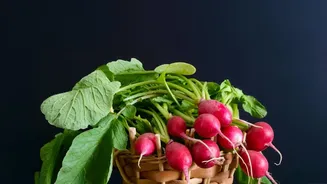 Nutrition Labels Reveal Clear Differences Between Radish and Beetroot
