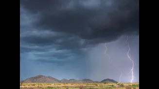 El Niño and Western Disturbances Impact Southwest Monsoon in India