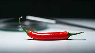 How India's Food Safety Wave Redefines Daily Snack