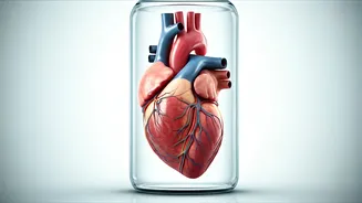 Understanding Heart Failure: Causes, Symptoms, and Prevention