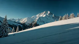 Related Stories banner