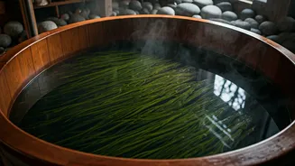 Dive into Deep Relaxation: The Ancient Art of Seaweed Bathing