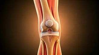 Knee Pain Relief: The Surprising Cure & Key Activity