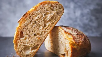Ten Sourdough Uses Cover Toasted, Baked, Grilled and Soaked Dishes