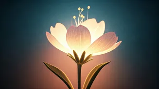 Divine Blessings: Baby Names Meaning 'Gift from God'