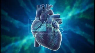Exercise And Weight-Loss Medication Research Means Fitness Readers And People Tracking Metabolic Health Should Track Fitness And Vascular Markers A...
