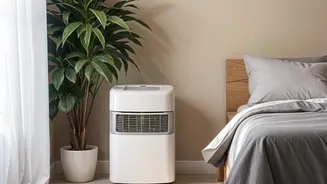 Monsoon Home Smell: How Moisture Builds Up In Poorly Ventilated Rooms
