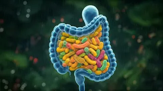 Gut Health Needs More Attention During Monsoon