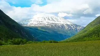 Deo Tibba's Meadows and Glacial Streams Define This Hidden Himachal Route