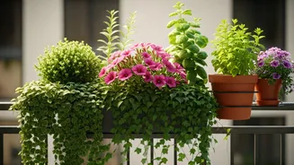 Balcony Gardens Are The Cutest Renter Decor Hack