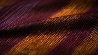 A Tapestry of India: Unraveling 28 Iconic Sarees and Their State Stories