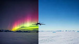 Arctic Skyways vs. Antarctic Absence: Unpacking the Polar Flight Divide