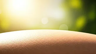 Master Your Summer Skin: The 2026 Ultimate Skincare Guide for Men