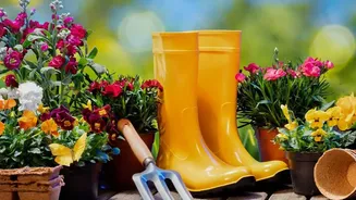 Rainy Season Gardening Guide For Indian Apartment Balconies