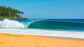Sri Lanka Trends As Young Groups Book Surf Camps