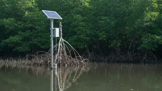 How Telemetry Networks Gather Data To Prevent Severe Tidal Flooding In Sundarbans