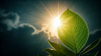 Cultivate Inner Strength: Powerful Morning Affirmations for a Confident Day