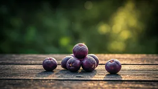 Burhanpur's Embrace: Falsa, Family, and Mughal Echoes in a Personal Homecoming