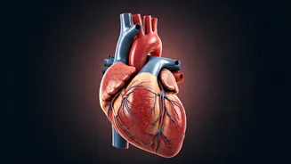 Unlocking Lifespan: The Secrets of a Long, Healthy Life