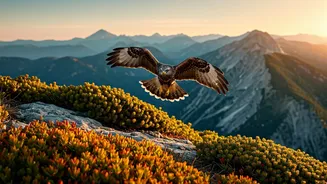 Mountain Bird Migration: Beyond Temperature, It's All About the Food!