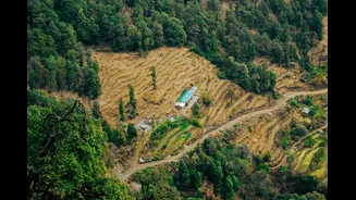 Climate Change Alters Farming in Himachal Pradesh's Bir Village