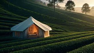 Glamping In Deep Green Tea Estates Is The Best Escapism