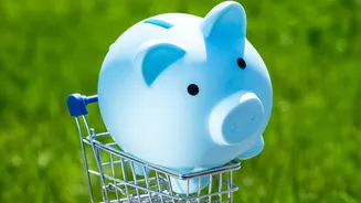 How Smart Shoppers Use Buy Now Pay Later Schemes Without Hitting Financial Repayment Traps