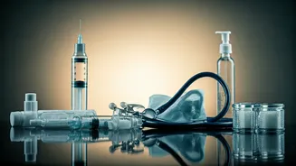 Asia's Finest: Top 10 Countries for a High Quality Life