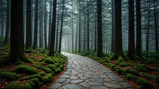 Cantonment Walks Make Landour Feel Timeless