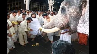 Anant Ambani Pledges Rs 18 Crore For Kerala Temples, Elephant Welfare Initiatives