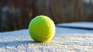 Tennis Ball Trick: A Simple Yet Effective Way to Protect Winter Wildlife