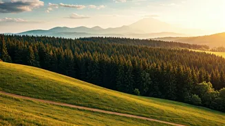 Travel Creators Are Eyeing Hills And Forests This June