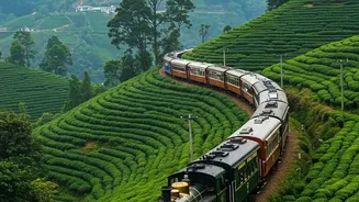 Budget Rail Routes Are Winning Over Last-Minute Holiday Planners
