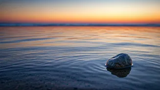 Pisces Horoscope April 6, 2026: Embrace Calm, Let Intuition Guide Your Day