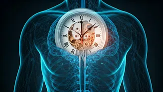 Unlocking Social Jetlag: Symptoms, Causes, and Solutions