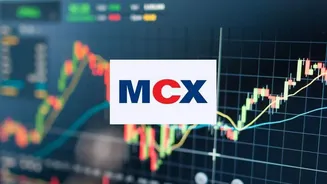 Why MCX shares plunged 80% in early trading today