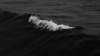 The Black Sea Carries Grain, Oil and a Growing Supply Risk