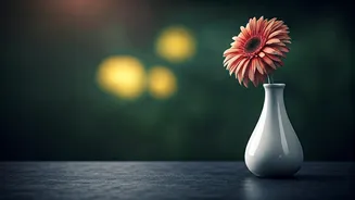 Dopamine Burnout: Rekindling Joy When Nothing Feels Exciting Anymore