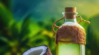 Kerala Artisans Treat Historic Snake Boats With Fish Oils To Increase Water Velocity Before Races