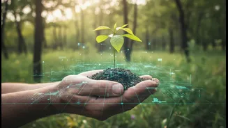 Researchers Blend Local Knowledge With Advanced Climate Mapping