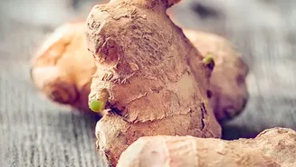 Ginger's Warm Flavour Makes It Easy to Use During Rainy Weather
