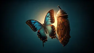 Unlock Your Potential: Osho's Insight on Living Beyond Fear