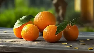 How Citrus Vitamin C Unlocks Double Plant Based Iron Absorption From Everyday Leafy Green Vegetables