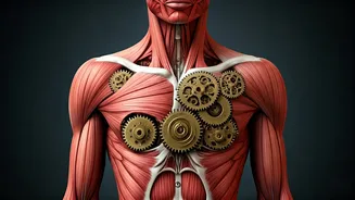 Diet Plans Need To Understand Real Bodies Now