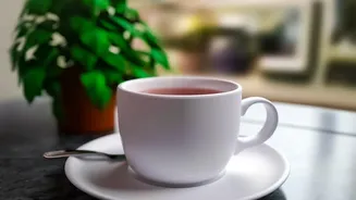 Check Origin And Ingredients Before Making A Decision About Speciality Tea Shopping