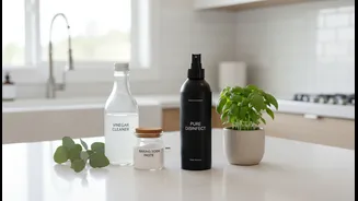 Want A Fresher Home This Monsoon? Balance Natural Cleaning With Safe Disinfection