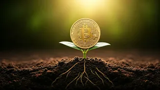 SIPs Are Turning Saving Into Wealth
