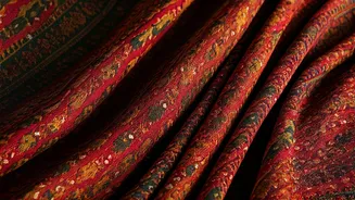 Kriti Sanon's Viral Ajrakh Saree: A Fashion Deep Dive